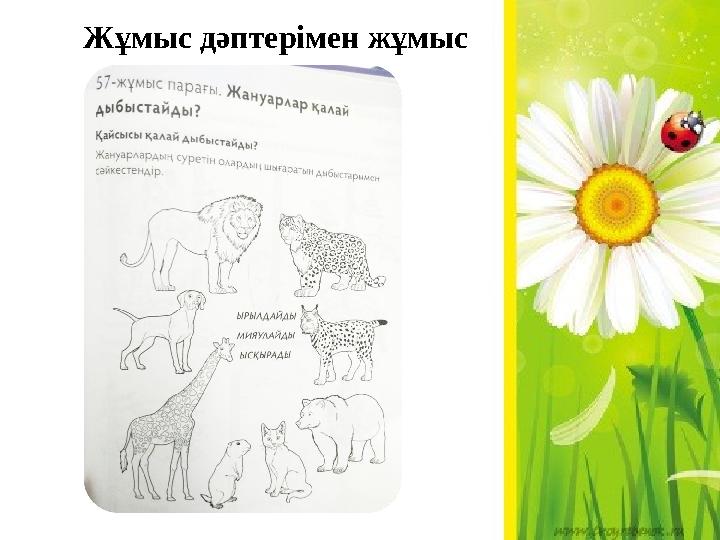 Армяндармен жыныстық қатынас