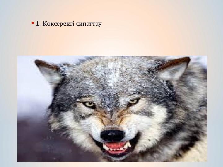 •1. Көксеректі сипаттау