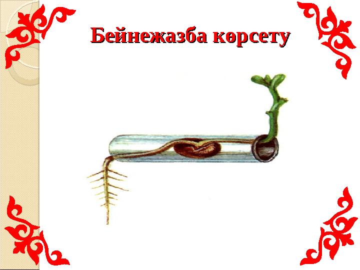 Бейнежазба көрсетуБейнежазба көрсету