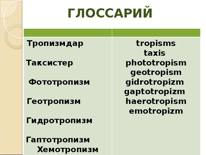 ГЛОССАРИЙ Тропизмдар Таксистер Фототропизм Геотропизм Гидротроп