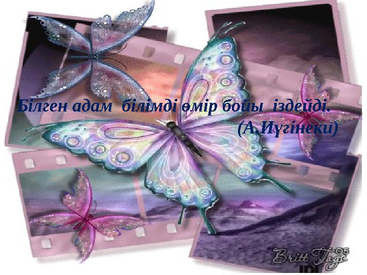 Білген адам білімді өмір бойы іздейді. (А.Иүгінеки)