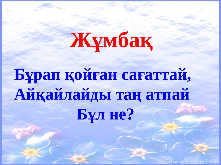 Жұмбақ Бұрап қойған сағаттай, Айқайлайды таң атпай Бұл не?