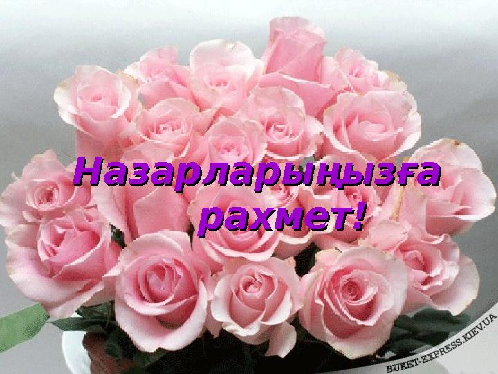 Назарларыңызға Назарларыңызға рахмет! рахмет!