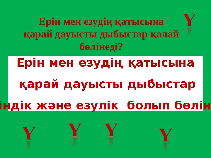 Ерін мен езудің қатысына қарай дауысты дыбыстар еріндік және езулік болып бөлінеді Ерін мен езудің қатысына қарай дауысты ды