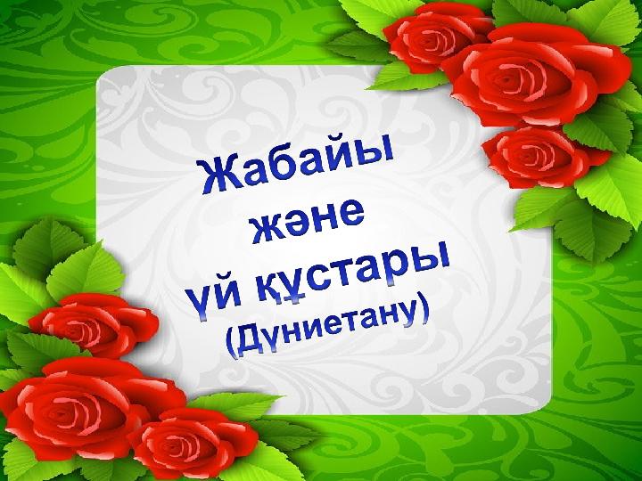 Бойжеткенді резеңке котпен сидитын болады