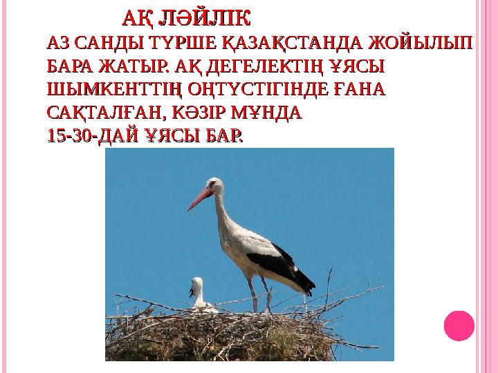 АҚ ЛӘЙЛІКАҚ ЛӘЙЛІК АЗ САНДЫ ТҮРШЕ ҚАЗАҚСТАНДА ЖОЙЫЛЫП АЗ САНДЫ ТҮРШЕ ҚАЗАҚСТАНДА ЖОЙЫЛЫП БАРА ЖАТ