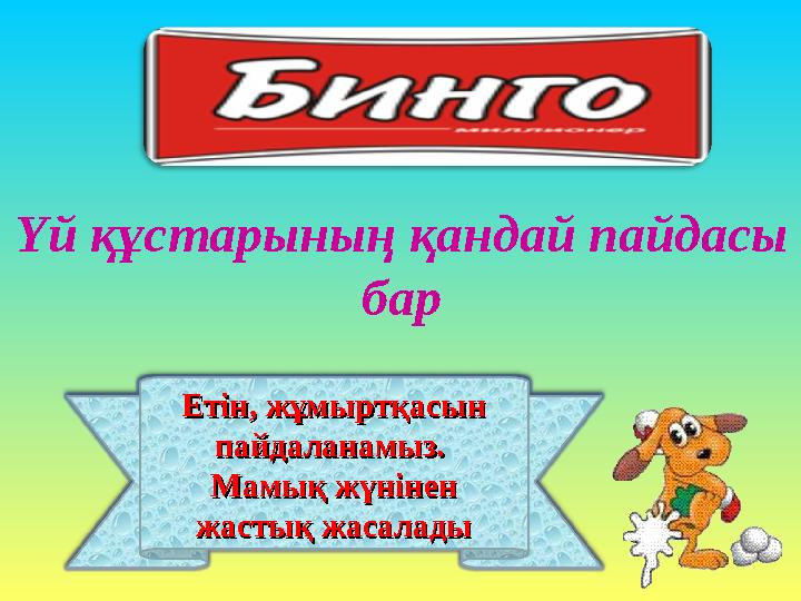 Етін, жұмыртқасын Етін, жұмыртқасын пайдаланамыз. пайдаланамыз. Мамық жүнінен Мамық жүнінен жастық жасаладыжастық жасалады Үй