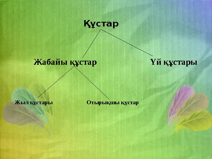 Құстар Жабайы құстар Үй құстары