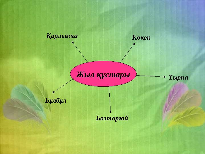 Жыл құстары Қарлығаш Көкек Бұлбұл Бозторғай Тырна
