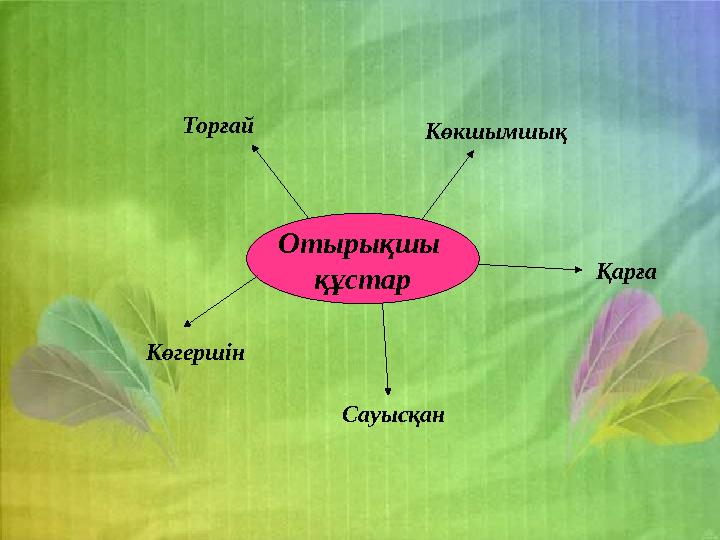 Отырықшы құстар Торғай Көкшымшық Көгершін Сауысқан Қарға