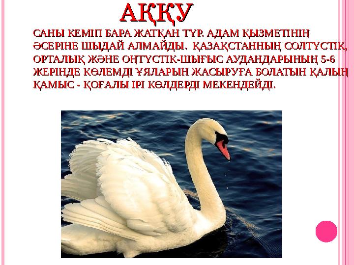 АҚҚУАҚҚУ САНЫ КЕМІП БАРА ЖАТҚАН ТҮР. АДАМ ҚЫЗМЕТІНІҢ САНЫ КЕМІП БАРА ЖАТҚАН ТҮ