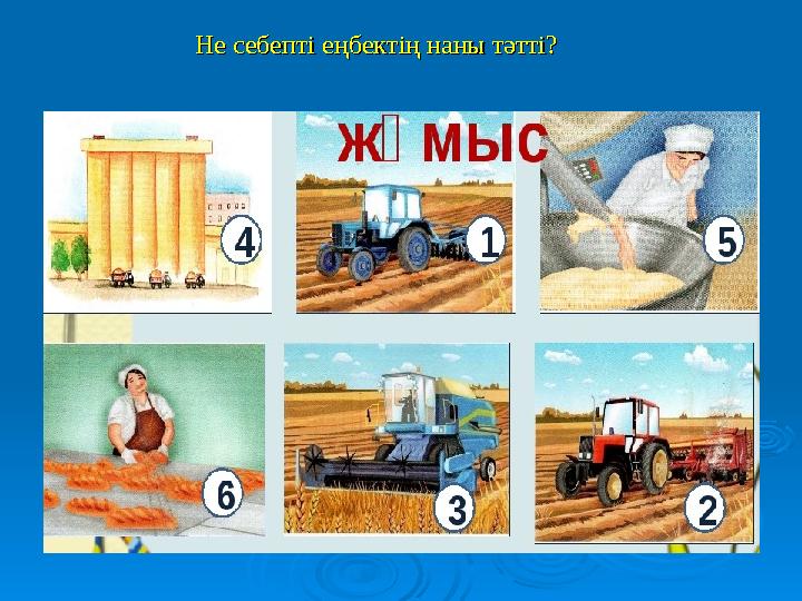 Не себепті еңбектің наны тәтті?Не себепті еңбектің наны тәтті?