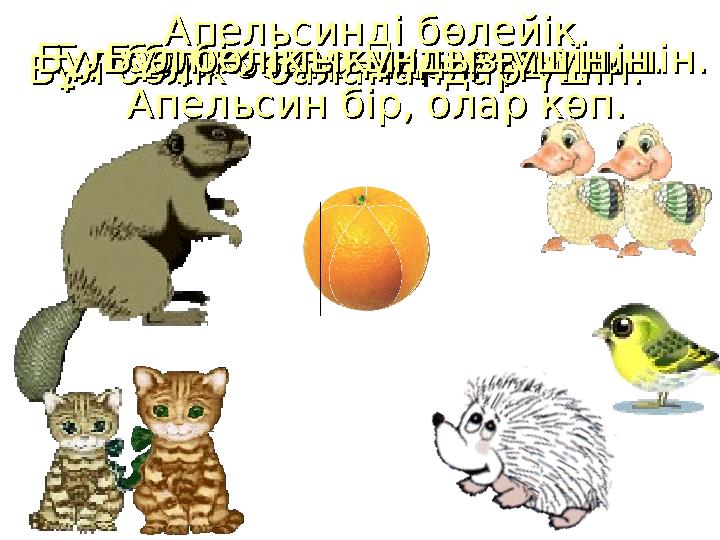 АпельсиндАпельсинд і бөлейік.і бөлейік. Апельсин бір, олар көп.Апельсин бір, олар көп. Бұл бөлБұл бөл ii к - кк - к ii рпрп i i