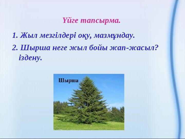 Үйге тапсырма. 1. Жыл мезгілдері оқу, мазмұндау. 2. Шырша неге жыл бойы жап-жасыл? іздену.