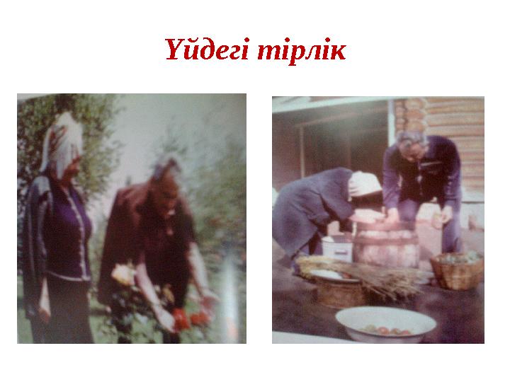 Үйдегі тірлік