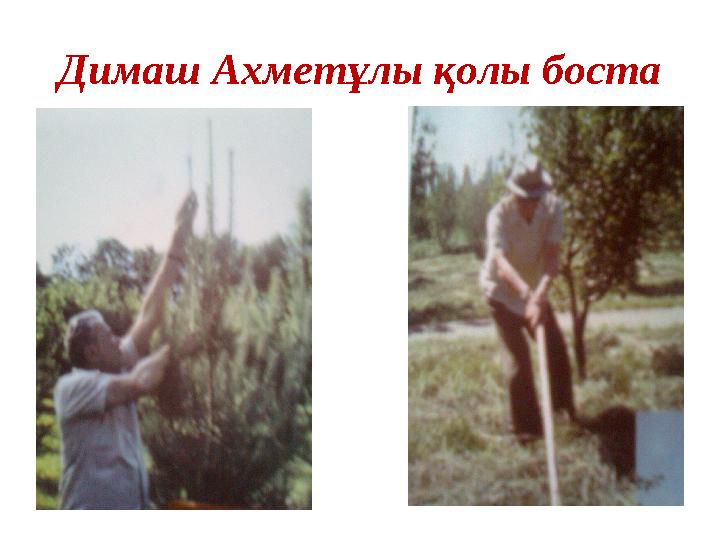 Димаш Ахметұлы қолы боста