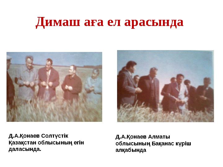 Димаш аға ел арасында Д.А.Қонаев Солтүстік Қазақстан облысының егін даласында. Д.А.Қонаев Алматы облысының Бақанас күріш ал