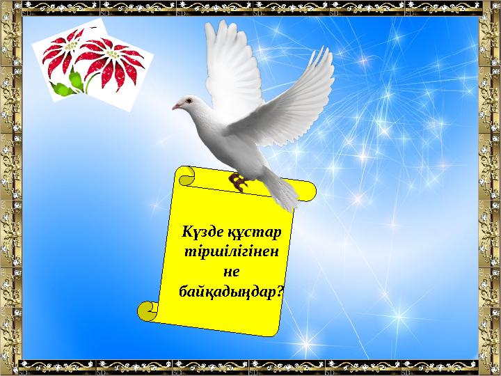 Күзде құстар тіршілігінен не байқадыңдар?