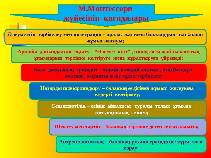 М.Монтессори жүйесінің қағидалары Әлеуметтік тәрбиелеу мен интеграция – аралас жастағы балалардың топ болып жұмыс жасауы;