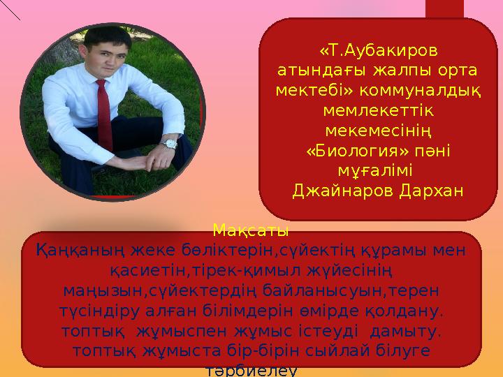 Пискада каммингтің фотосы