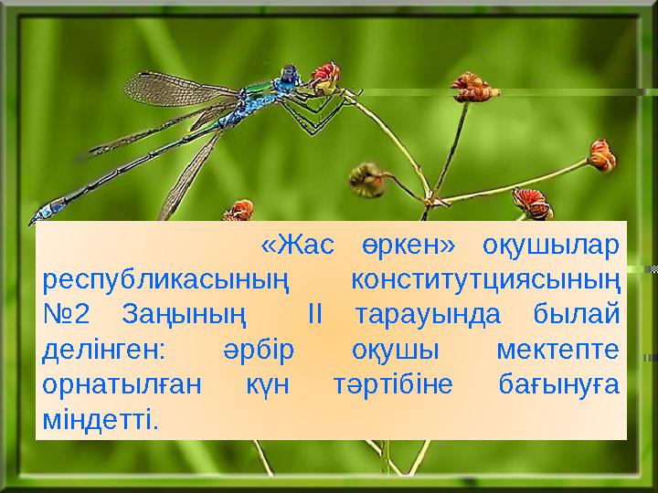 «Жас өркен» оқушылар республикасының конститутциясының №2 Заңының II тарауында былай делінген: әрб