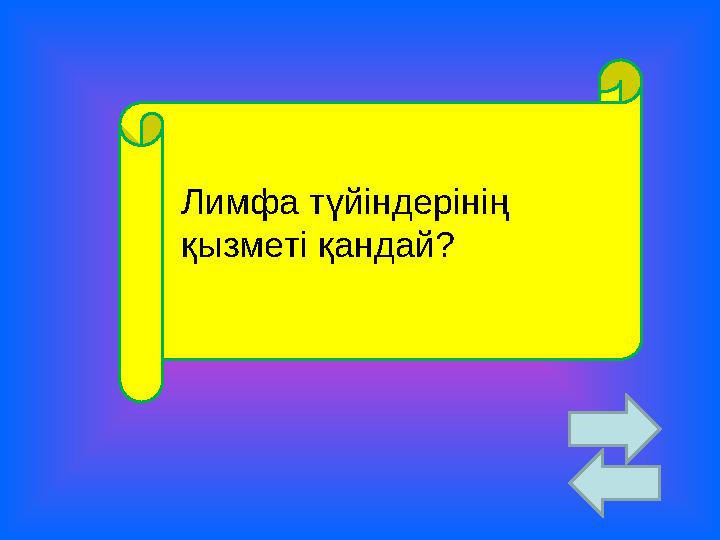 Лимфа түйіндерінің қызметі қандай?