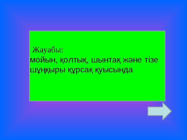 Жауабы: мойын, қолтық, шынтақ және тізе шұңқыры құрсақ қуысында