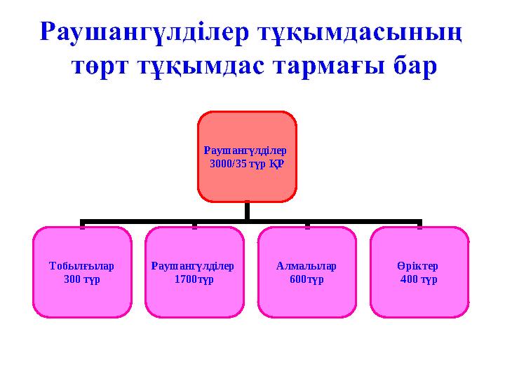 Раушангүлділер 3000/35 түр ҚР Тобылғылар 300 түр Раушангүлділер 1700түр Алмалылар 600түр Өріктер 400 түр