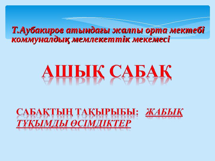 Орыс секс веб-камерасы