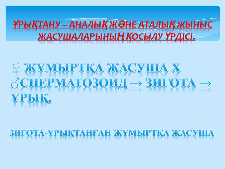 Транс демалыс Сан өте арзан