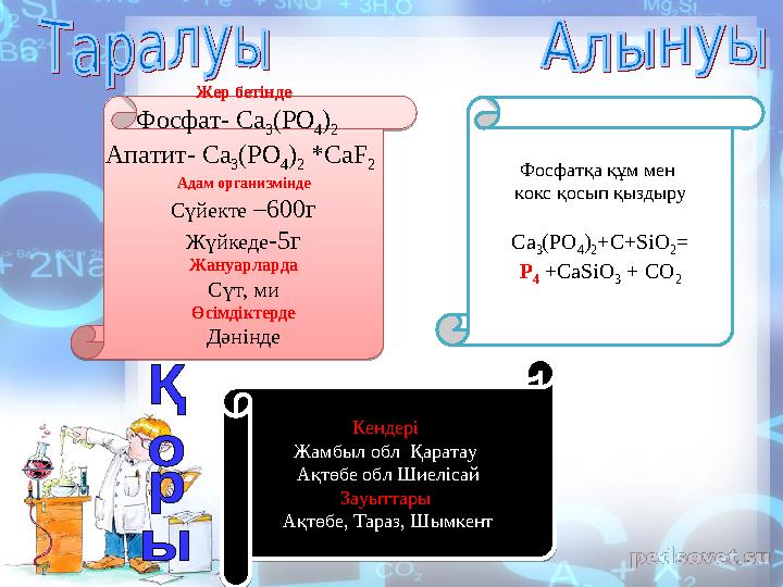 Жер бетінде Фосфат - Ca 3 (PO 4 ) 2 Апатит - Ca 3 (PO 4 ) 2 *CaF 2 Адам организмінде Сүйекте –600г Жүйкеде -5г Жануарл