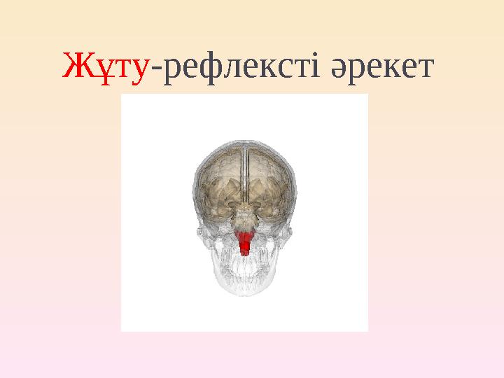 Жұту-рефлексті әрекет Жұту-рефлексті әрекет
