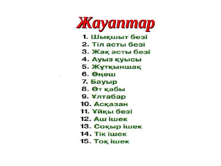 ЖауаптарЖауаптар ЖауаптарЖауаптар