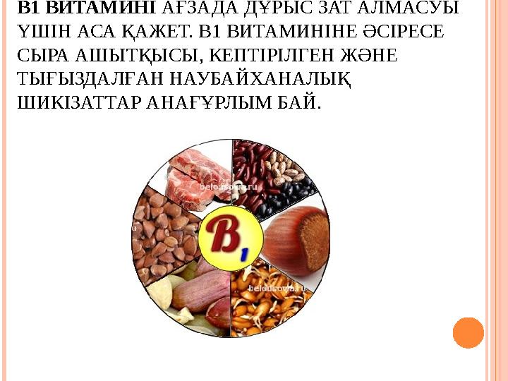 В1 ВИТАМИНI АҒЗАДА ДҰРЫС ЗАТ АЛМАСУЫ ҮШІН АСА ҚАЖЕТ. В1 ВИТАМИНІНЕ ӘСІРЕСЕ СЫРА АШЫТҚЫСЫ, КЕПТІРІЛГЕН ЖӘНЕ ТЫҒЫЗДАЛҒАН НАУБ