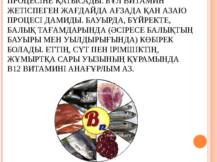 В12 ВИТАМИНІ ҚАННЫҢ ПАЙДА БОЛУ ПРОЦЕСІНЕ ҚАТЫСАДЫ. БҰЛ ВИТАМИН ЖЕТІСПЕГЕН ЖАҒДАЙДА АҒЗАДА ҚАН АЗАЮ ПРОЦЕСІ ДАМИДЫ. БАУЫРДА,