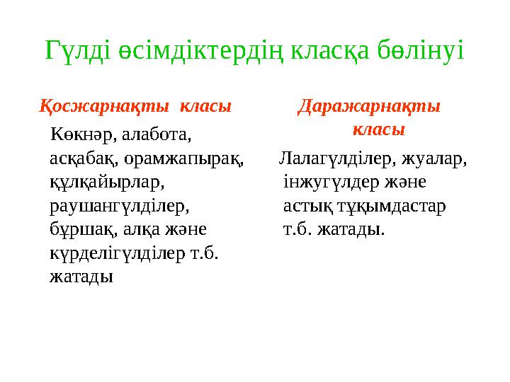 Гүлді өсімдіктердің класқа бөлінуі Қосжарнақты класы Көкнәр, алабота, асқабақ, орамжапырақ, құлқайырлар, раушангү