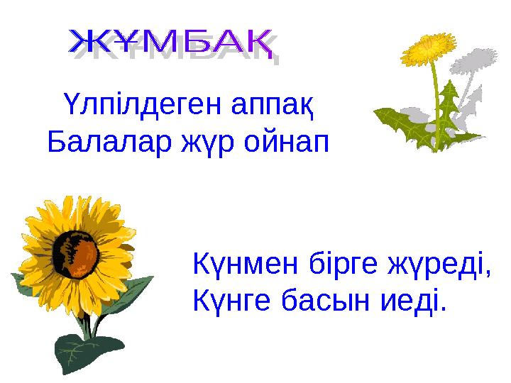 Үлпілдеген аппақ Балалар жүр ойнап Күнмен бірге жүреді, Күнге басын иеді.