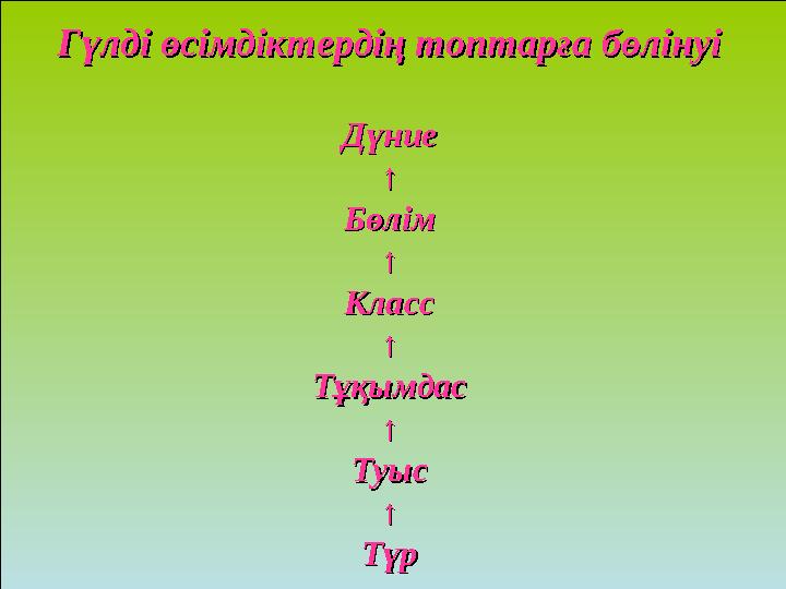 Гүлді өсімдіктердің топтарға бөлінуіГүлді өсімдіктердің топтарға бөлінуі ДүниеДүние ↑↑ БөлімБөлім ↑↑ КлассКласс ↑↑ ТұқымдасТұ