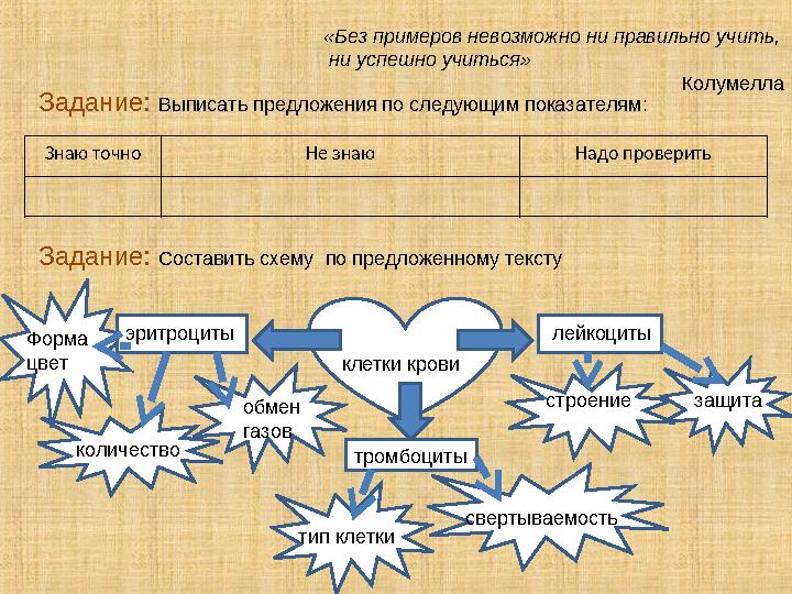 Задание: Выписать предложения по следующим показателям: Знаю точно Не знаю Надо проверить«Без примеров невозможно ни правиль