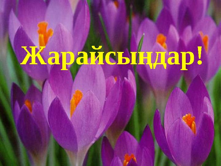 Жарайсыңдар!