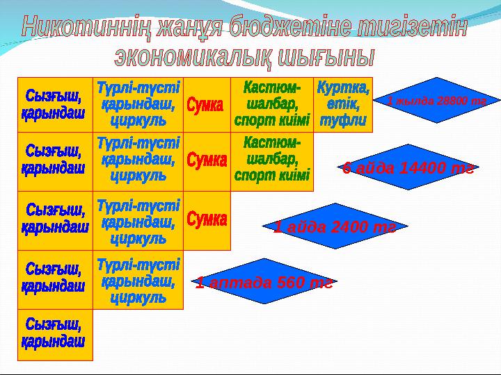 1 аптада 560 тг 1 айда 2400 тг 6 айда 14400 тг 1 жылда 28800 тг