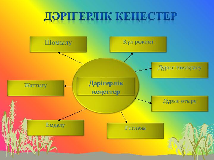 Дәрігерлік кеңестер Күн режимі Дұрыс тамақтану Гигиена Емделу Жаттығу Шомылу Дұрыс отыру