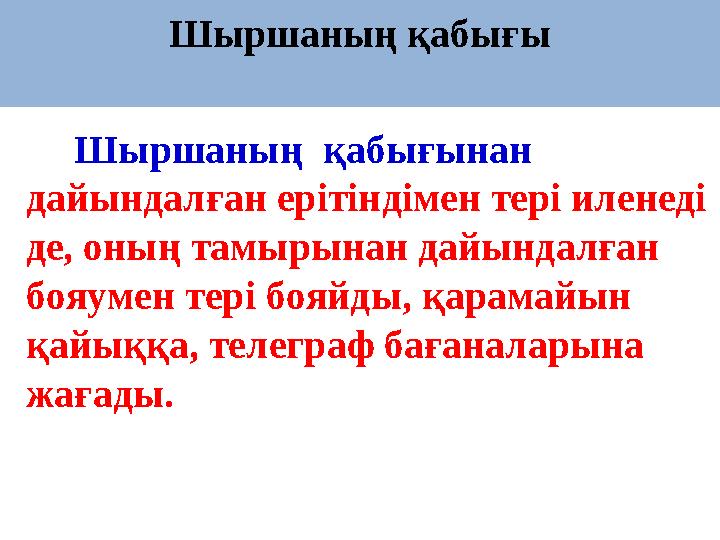 Шыршаның қабығы Шыршаның қабығынан дайындалған ерітіндімен тері иленеді де, оның тамырынан дайындалған бояумен тері б