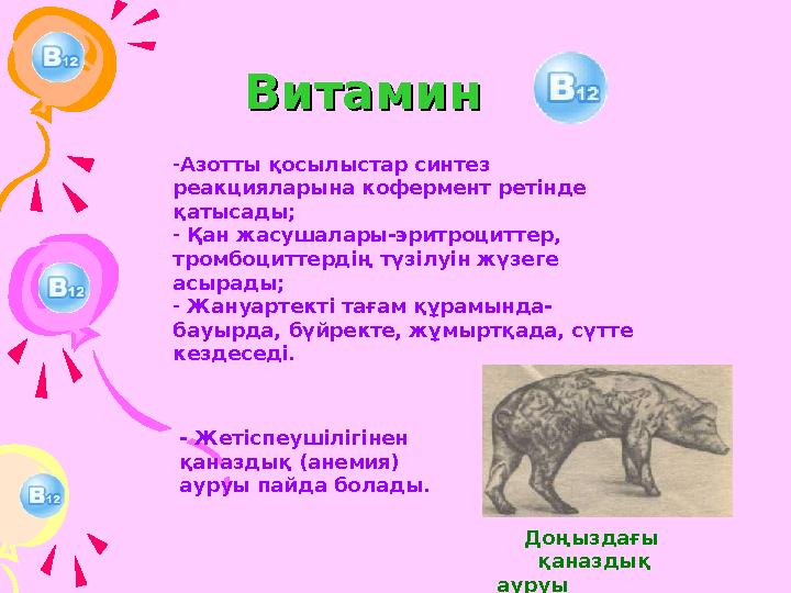 Витамин Витамин -Азотты қосылыстар синтез реакцияларына кофермент ретінде қатысады; - Қан жасушалары-эритроциттер, тр