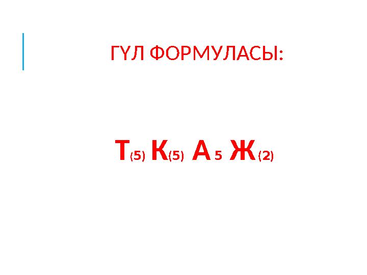 ГҮЛ ФОРМУЛАСЫ: Т(5) К(5) А 5 Ж (2)