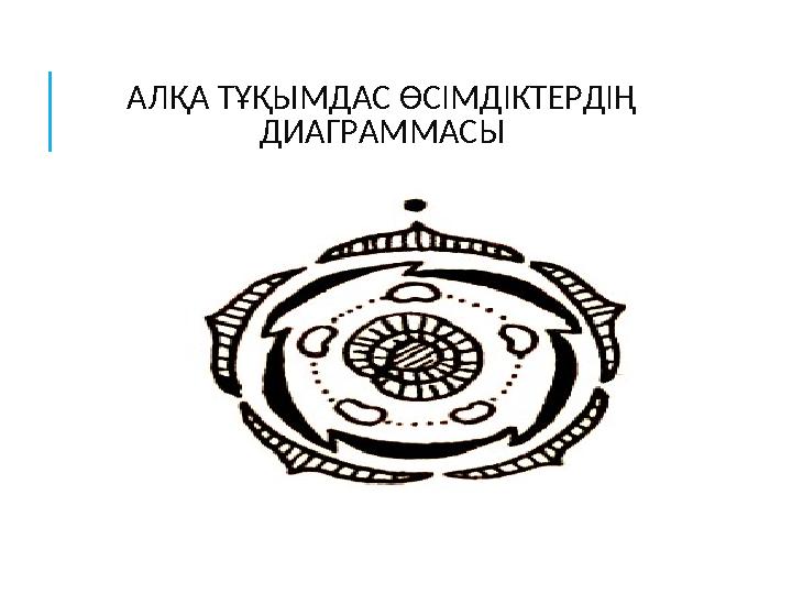 АЛҚА ТҰҚЫМДАС ӨСІМДІКТЕРДІҢ ДИАГРАММАСЫ