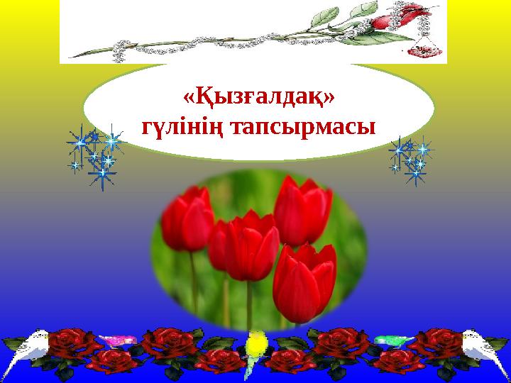 «Қызғалдақ» гүлінің тапсырмасы