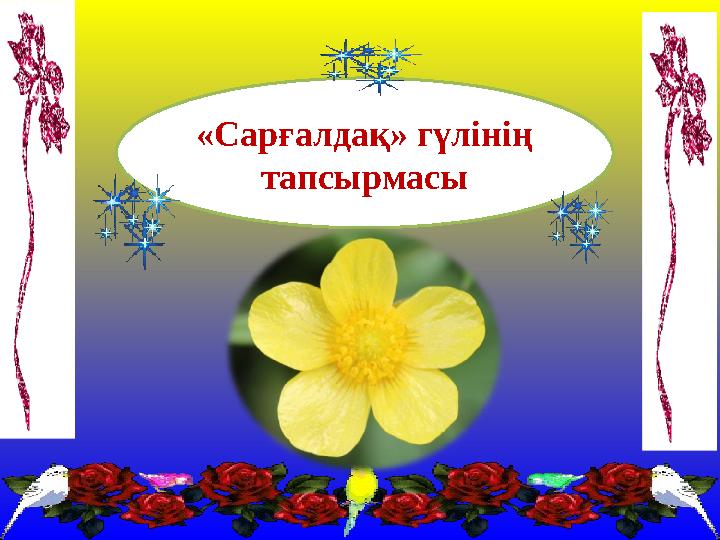 «Сарғалдақ» гүлінің тапсырмасы