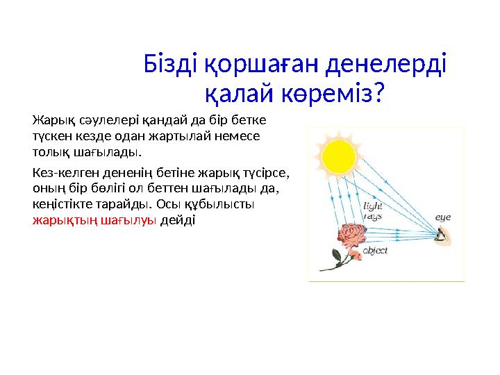 Бізді қоршаған денелерді қалай көреміз? Жарық сәулелері қандай да бір бетке түскен кезде одан жартылай немесе толық шағылады.