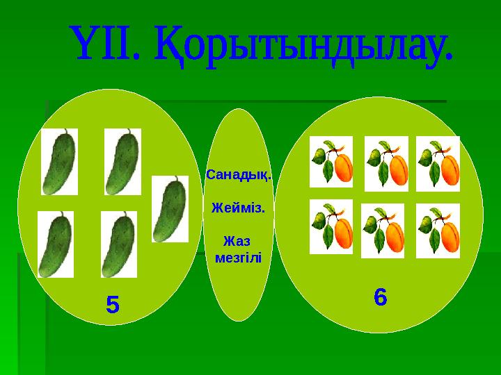 Санадық. Жейміз. Жаз мезгілі 5 6